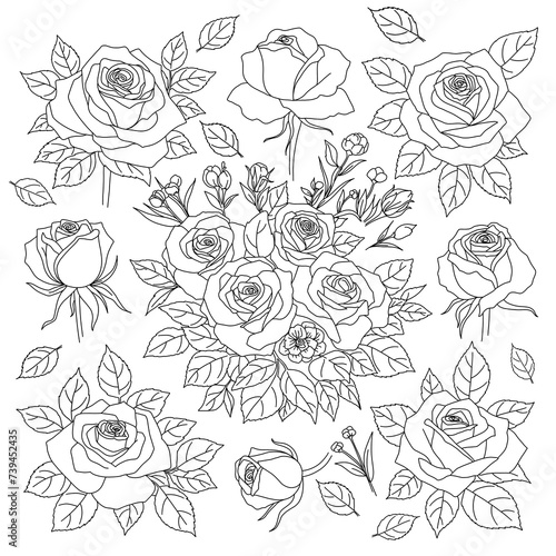 Big set of rose flowers, Hand drawn realistic Decorative elements, outline coloring page
