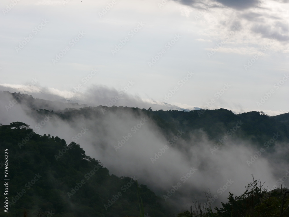 mountain ranges in tropical forests covered by moisture clouds, in Panama mountain ranges in tropical forests covered by moisture clouds, in Panama