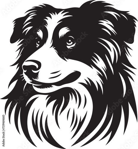 Australian Shepherd Dog Head Silhouette Portrait Vector