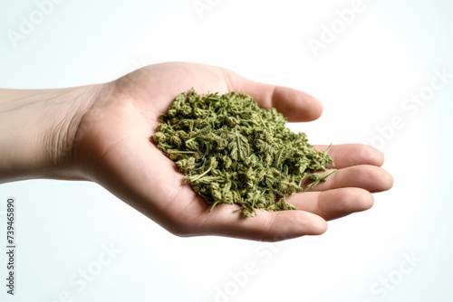 Close up of a Marijuana workers hands cradling dried Cannabis flowers in a commercial agricultural field, symbolizing herbal alternatives and research in hemp cultivation.