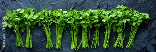 the unique spring herb, cilantro parsley photo