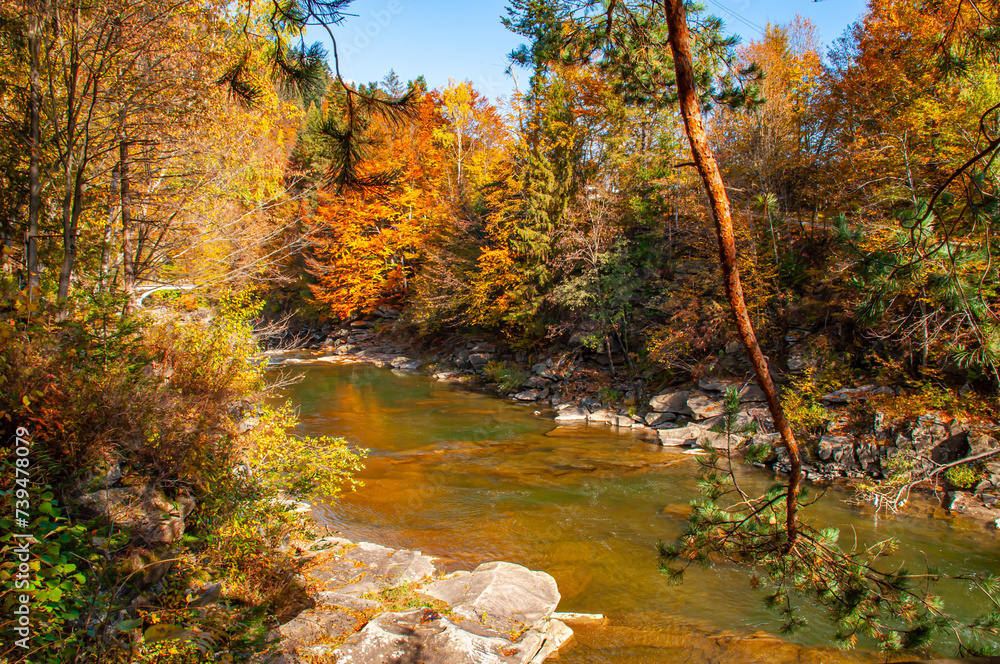 Bright sunny autumn landscape with a mountain river