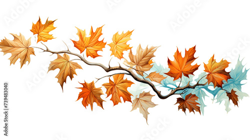 Maple Branch with Leaf's isolated on white or transparent background