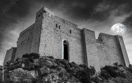 Ancient castle in distypical future on unknown planet