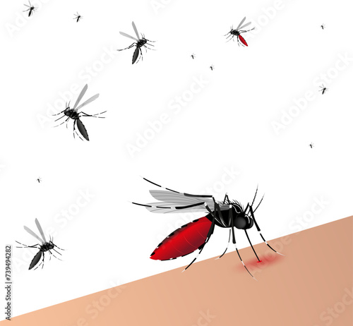 O vírus da Dengue, Febre Amarela, Zika vírus e Chikungunya. É transmitido principalmente pelo mosquito Aedes aegypti ou por transfusão de sangue photo