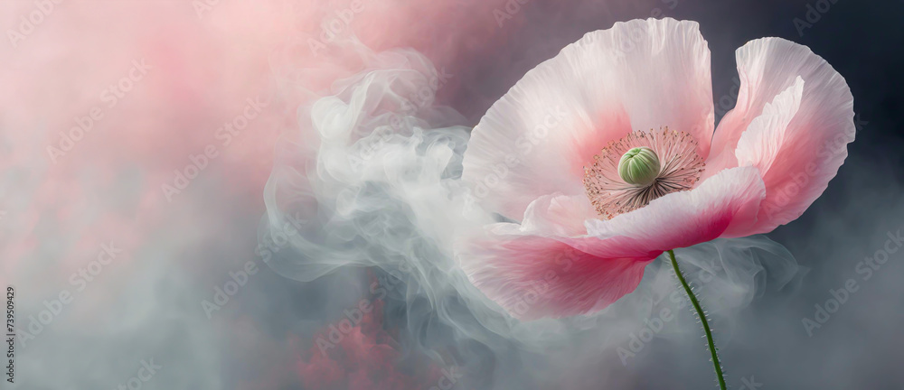 Pastelowy różowy kwiat, abstrakcyjny mak i dym. Abstrakcyjne różowe tło kwiatowe - obrazy, fototapety, plakaty 