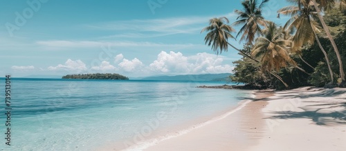 beautiful water and palm trees on an isolated beach
