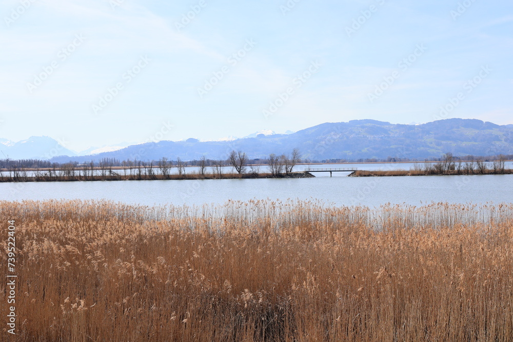 Blick auf die Naturlandschaft am Einlauf des Rheins in den Bodensee bei Hard in Österreich	