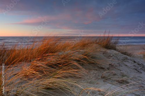 Wydmy na wybrzeżu Morza Bałtyckiego, w pastelowych kolorach zachodzącego słońca, Kołobrzeg, Polska.