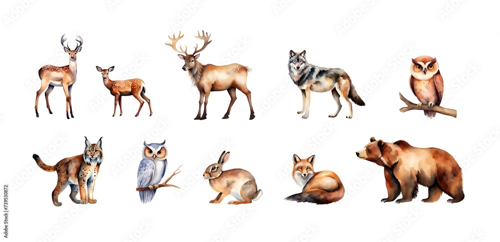 Fototapeta premium Watercolour set of wild forest animals, hand drawn isolated deer, wolf, owl and bear