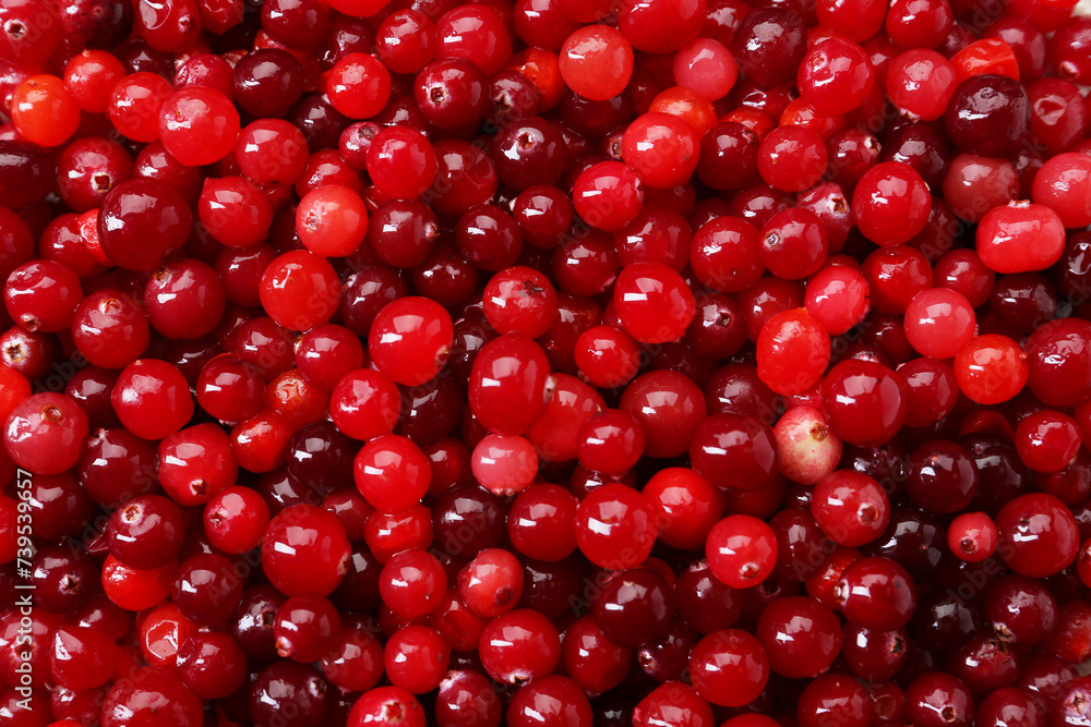 Fresh ripe cranberries as background, top view Fresh ripe cranberries as background, top view
