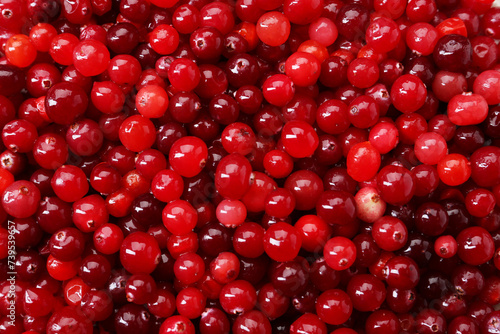 Fresh ripe cranberries as background, top view