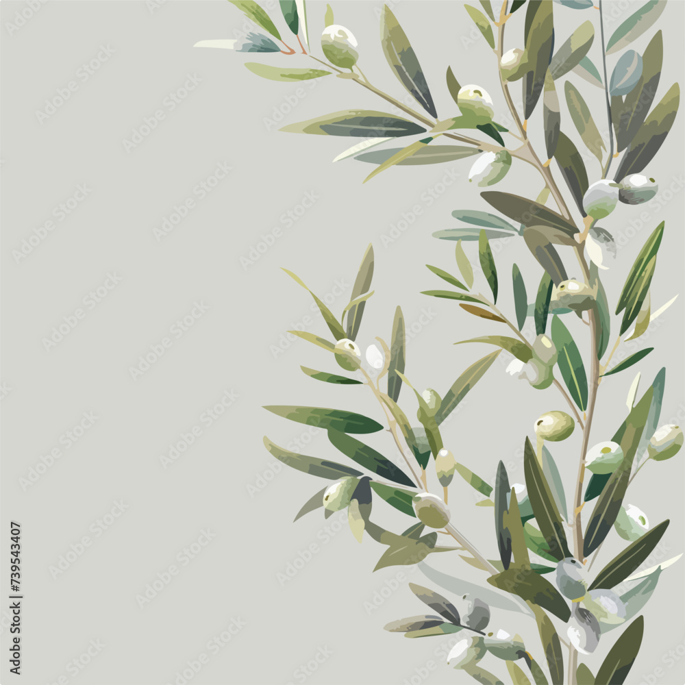 Wild olive branches on gray background. Copy spac