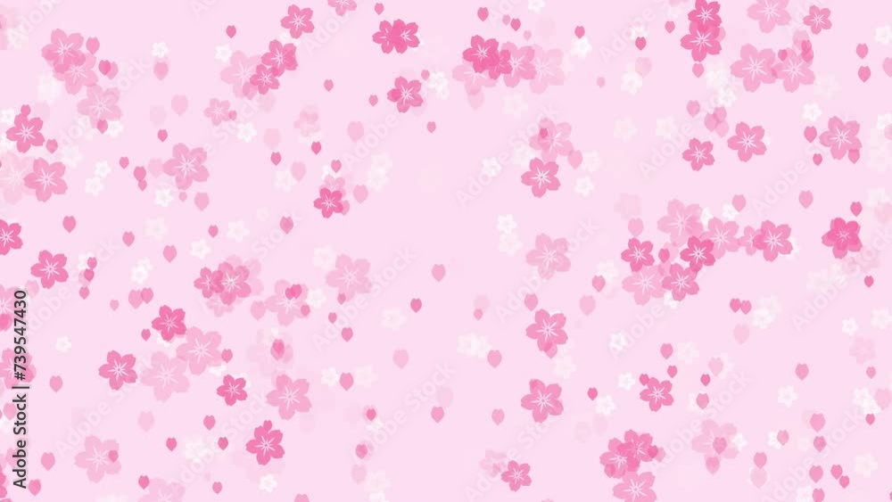 Abstract floral motion background with animated pink sakura flowers and cherry blossom petals falling against pale rose backdrop. Tender pastel color animation for oriental or springtime concept. Abstract floral motion background with animated pink sakura flowers and cherry blossom petals falling against pale rose backdrop. Tender pastel color animation for oriental or springtime concept.