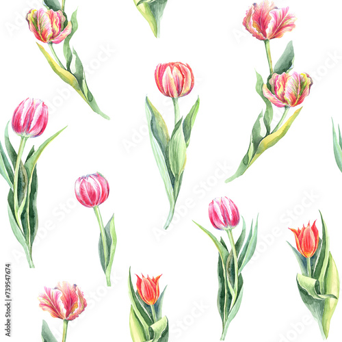 Wallpaper Mural Seamless pattern, watercolor floral illustration tulips, yellow mimosa, green leaf branches collection, for wedding stationary, easter greetings, wallpapers, fashion ,poster, background. Hand draw. Torontodigital.ca