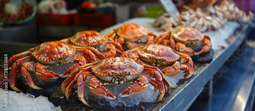 Delicious Fresh Seafood Feast: Abundance of Crabs on Rustic Wooden Table