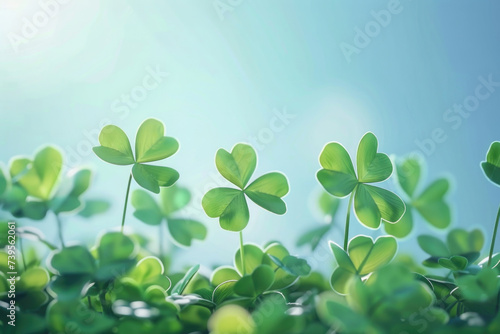 A group of four leaf clovers in a field, suitable for luck and nature concepts