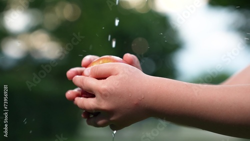 Little kid hands washing fresh ripe organic red apple with water flow outdoor at summer park closeup. Child arm finger cleaning seasonal vitamin juicy fruit healthy eating vegetarian dietary food