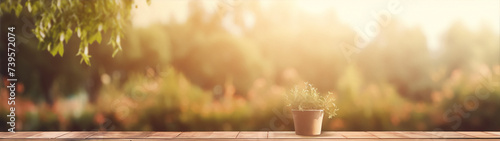 Close up of a potted plant on a wooden table with a blurred background of a lush green garden photo