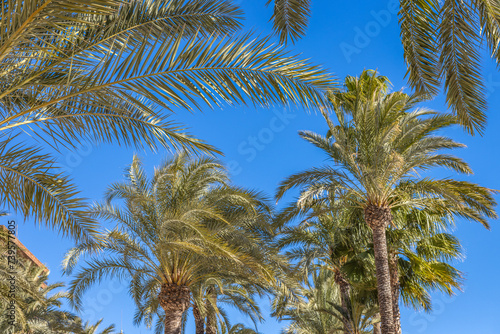 Alicante  Spain - January 5 2024  A historic Mediterranean city in south Spain 