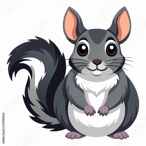 A gray domestic chinchilla with a fluffy furry tail and white chest. Vector illustration isolated on white.