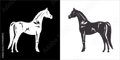 Illustration vector graphics of horse icon