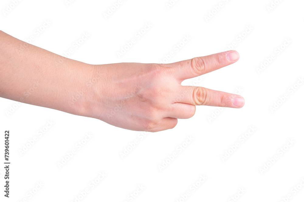 hand on isolated background clipping path hand on isolated background clipping path
