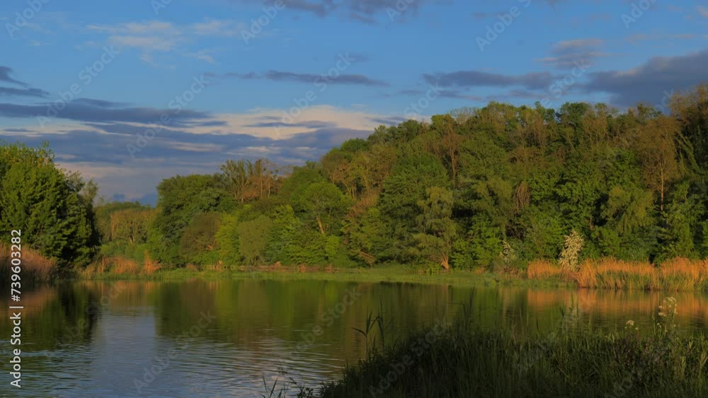 Lush Green Danube Wetlands in Austria Europe in May Lush Green Danube Wetlands in Austria Europe in May