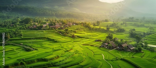 Picturesque Green Field Landscape with Houses and Majestic Mountain Range Scenery