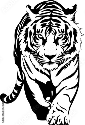 Handdrawn tiger drawing 