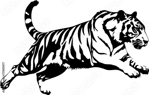 Handdrawn tiger drawing 