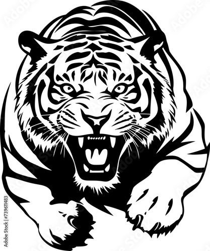 Fototapeta Naklejka Na Ścianę i Meble -  Handdrawn tiger drawing 