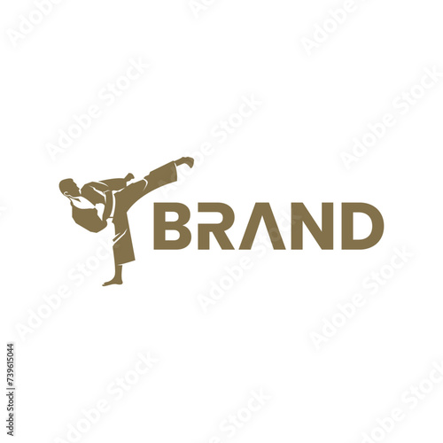 taekwondo or karateka logo