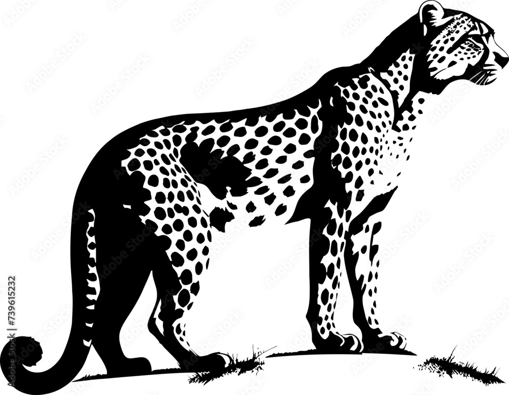 Fototapeta premium Handdrawn cheetah drawing 