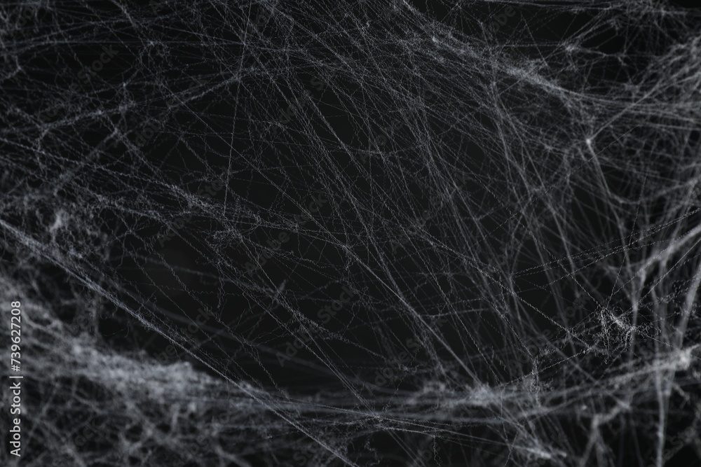 Creepy white cobweb on black background, closeup Creepy white cobweb on black background, closeup