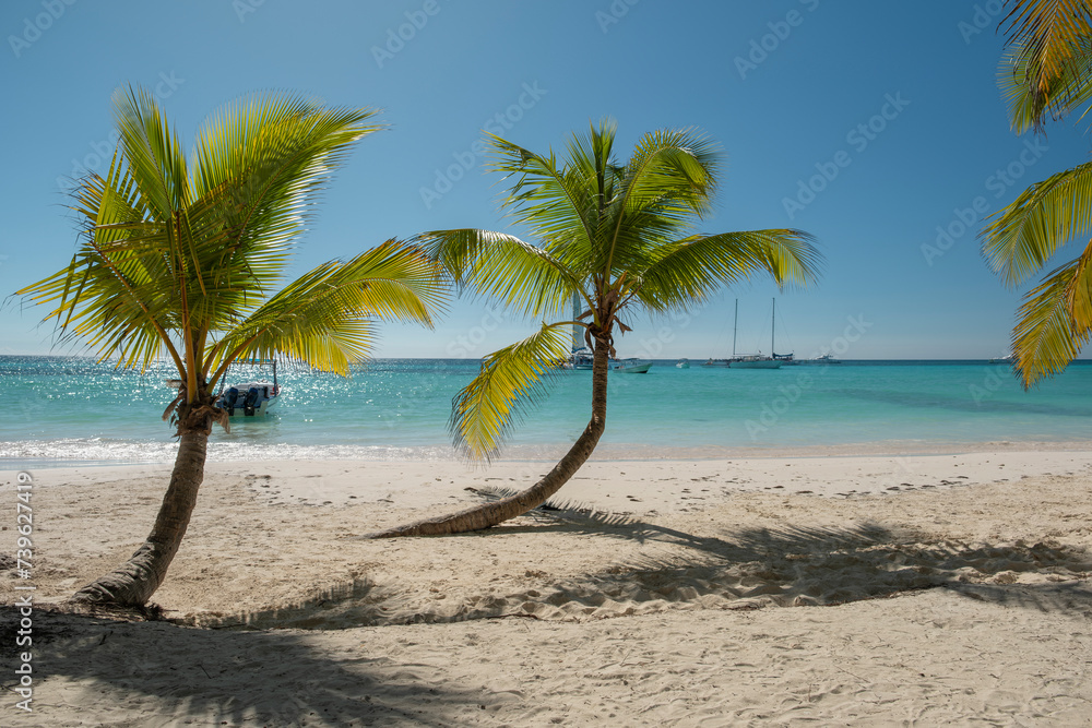 Fototapeta premium Vacation scene - strip of white sand beach, palm trees and crystal clear turquoise ocean water. Many yachts and boats moored by the shore. South destination travel, March break concept.
