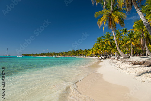 Vacation scene - strip of white sand beach, palm trees and crystal clear turquoise ocean water. Many yachts and boats moored by the shore. South destination travel, March break concept.