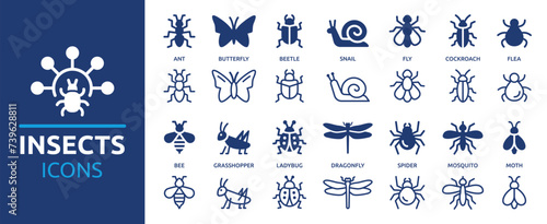 Insects icon set. Containing ant, bee, mosquito, bug, fly, spider, butterfly, ladybug and more. Solid and outline vector icons collection.