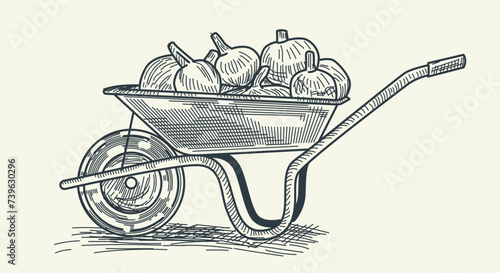 Charming vector sketch of a cart laden with a bountiful harvest of pumpkins. This illustration captures the rustic beauty of autumn, showcasing the abundance of nature in a nostalgic and quaint scene