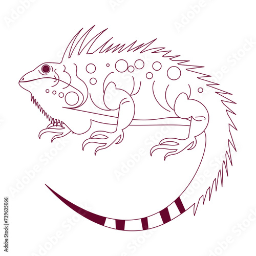 Iguana Outline Illustration
