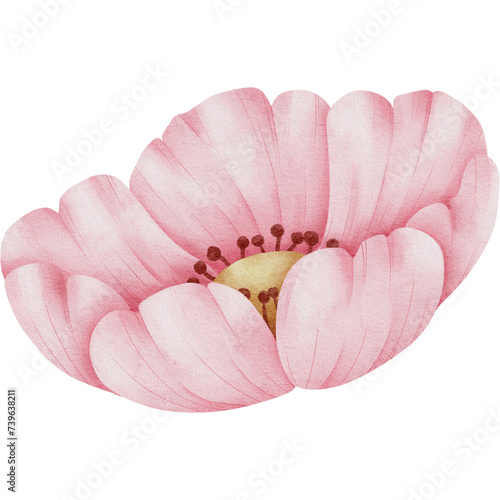 pink flowers, green leaves, transparent background, floral arrangement, bouquet, clipart