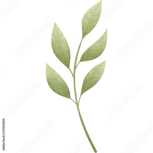 green leaves, transparent background, floral arrangement, bouquet, clipart