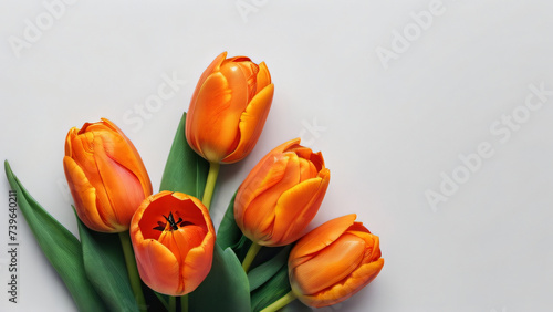 Photo Of Set Of Orange Color Tulip Flowers Isolated On White Background  Flat Lay.