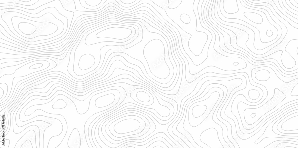 The pattern topo with lines Topographic contour lines vector map seamless pattern. Geographic mountain relief. Abstract lines background. Contour maps. Vector illustration, Topo contour map.