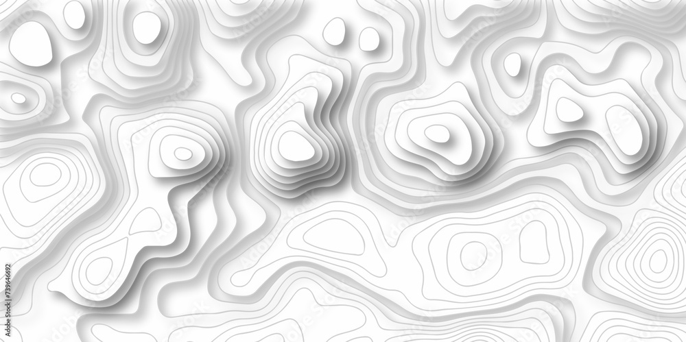 The stylized height of the topographic map in contour, lines. Topography and geography map grid abstract backdrop. creative cartography illustration. Black and white landscape geographic pattern. 