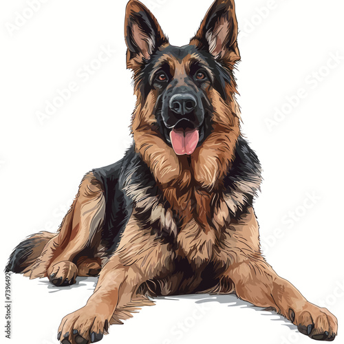 German shepherd dog portrait. Hand-drawn illustration isolated on white background