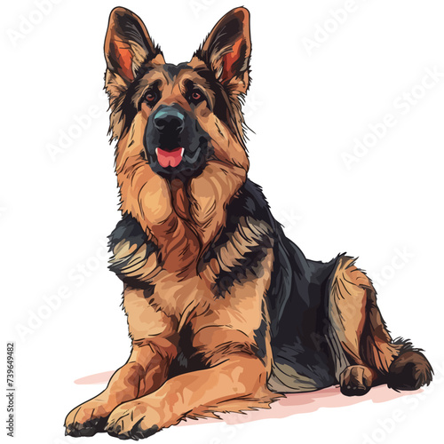 German Shepherd dog. Vector illustration. Isolated on white background.