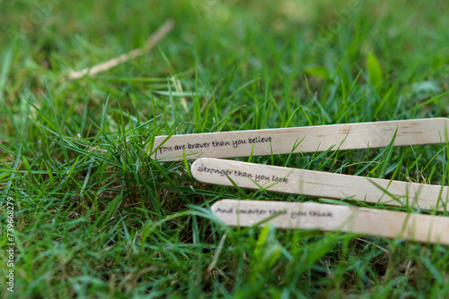 Canvastavla close up of the message on the ice cream stick on the grass as a concept of the