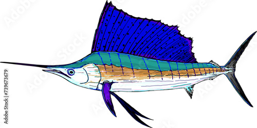 Full Color Sailfish