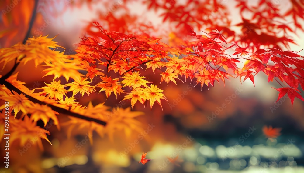 Autumn Maple leaves Landscape with blurred background Autumn Maple leaves Landscape with blurred background